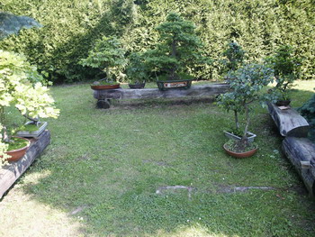 pohled na zahradu3